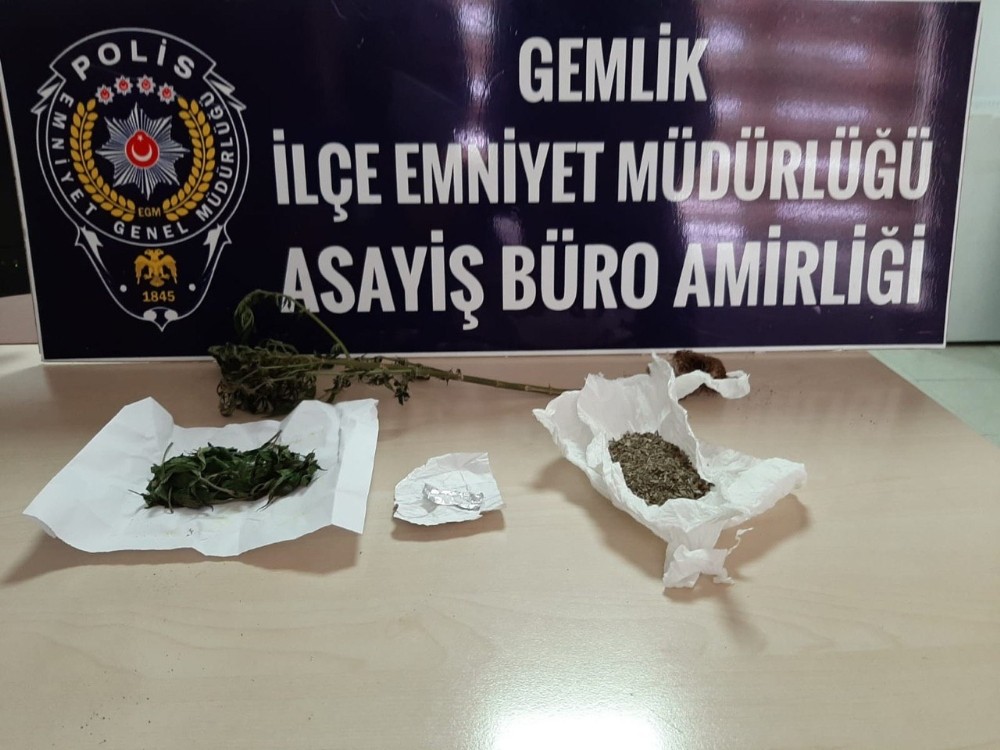 Zehirci Taciri Bir Aylik Takip Neticesinde Yakalandi Bursa Haberleri
