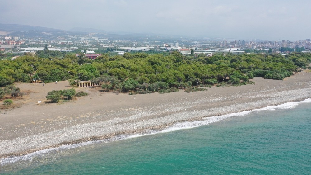 Erdemli Çamlığı’nı belediye işletecek