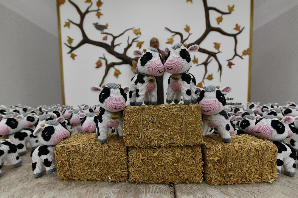 Küçük buzağılar kazanç kapısı oldu