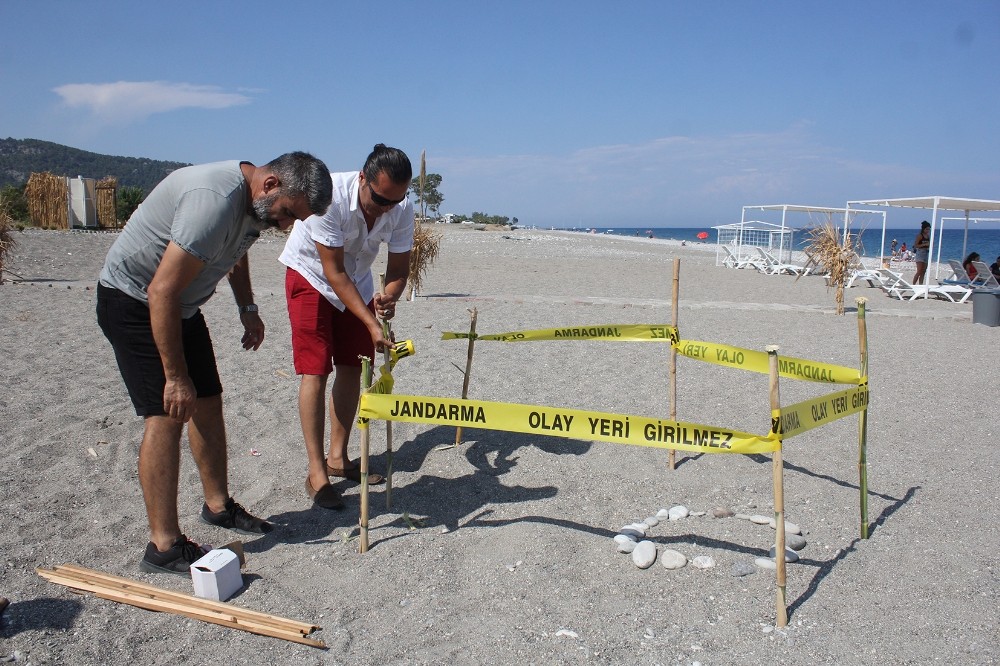 Pandemi döneminde boşalan sahiller Caretta Caretta’lara kaldı