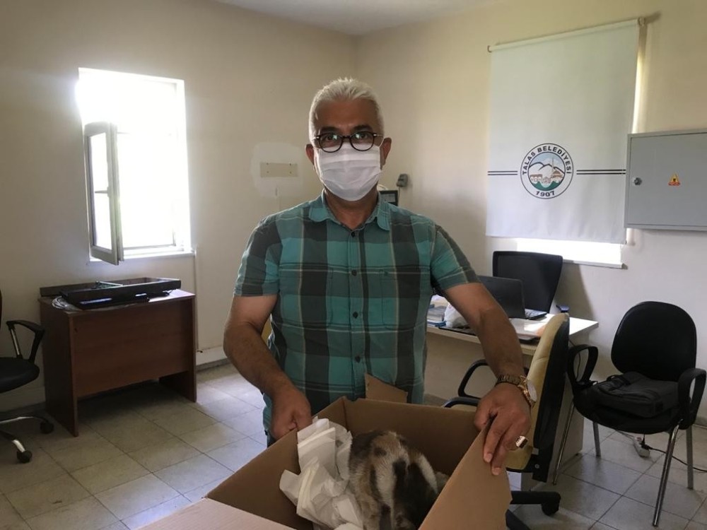 Şantiyede doğum yapan kedi ve yavrularına işçiler sahip çıktı Kayseri