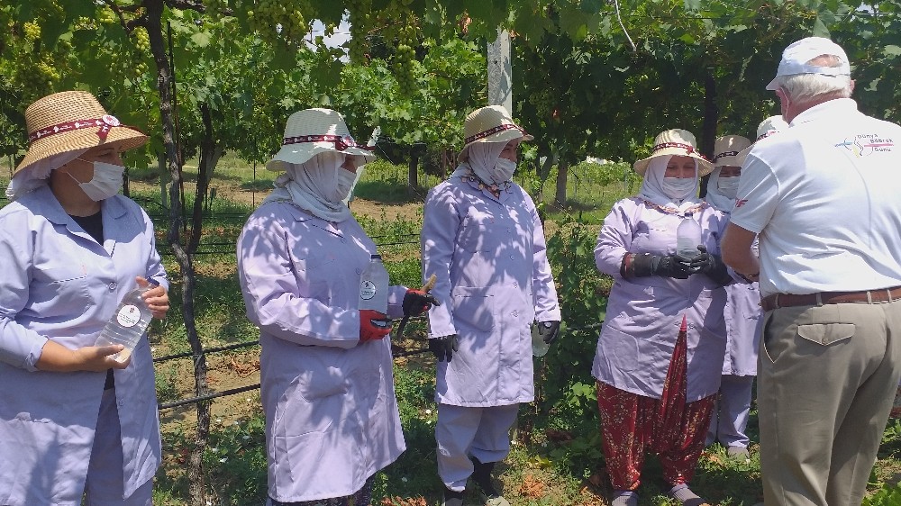 Sıcak havalarda çalışan kadın tarım işçileri suyla bilgilendirildi
