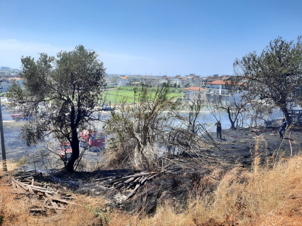 Manavgat Ilica Da Korkutan Orman Yangini Antalya Haberleri