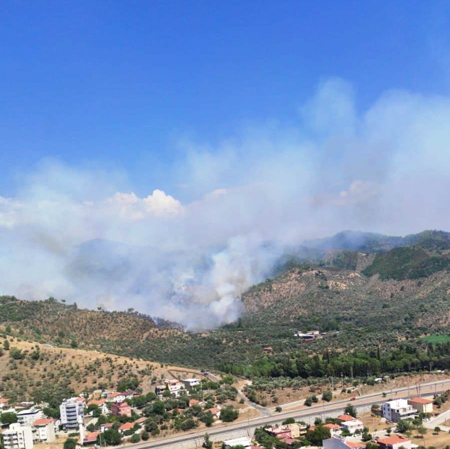 Milas Ta Orman Yangini Mugla Haberleri
