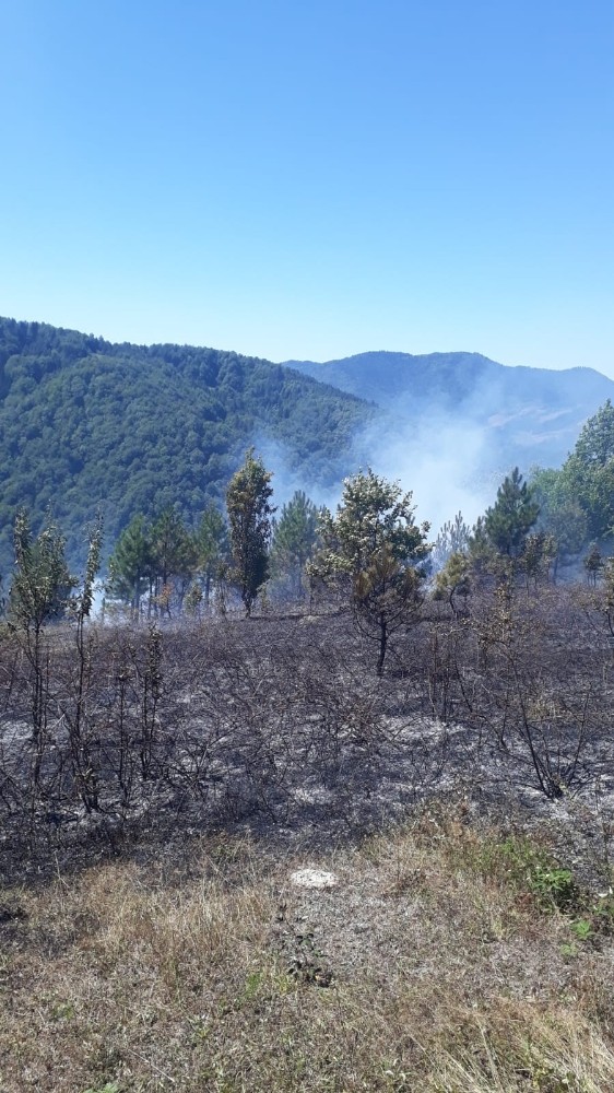 Kastamonu’da ormanlık alanda çıkan yangını köylüler söndürdü