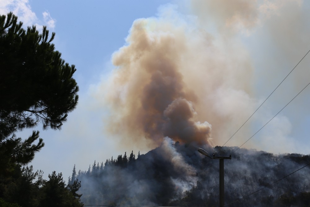Kocaeli’deki orman yangını 2 buçuk saatte söndürüldü