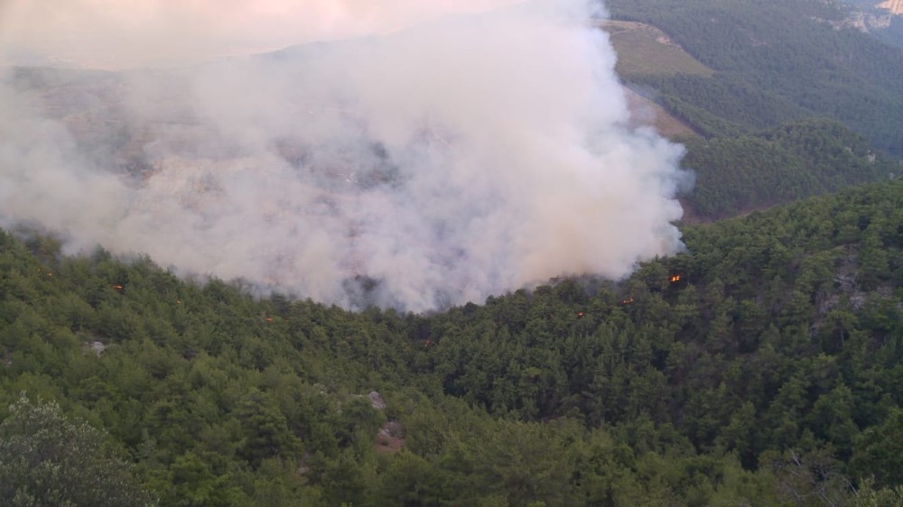 Adana’da ormanlık alanda yangın