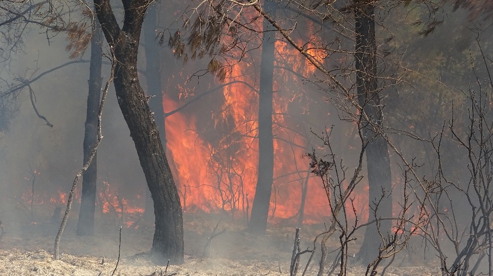 Hatay’da orman yangını: 3 hektar alan zarar gördü