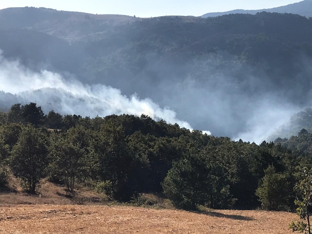 Sındırgı’daki orman yangınında 2 hektarlık alan zarar gördü