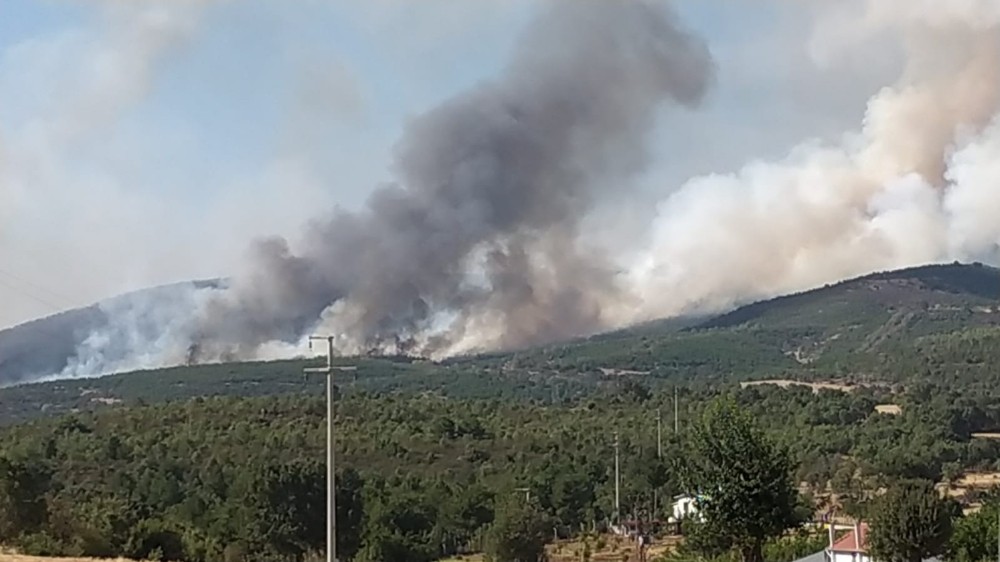 Usak Ta Orman Yangini Usak Haberleri