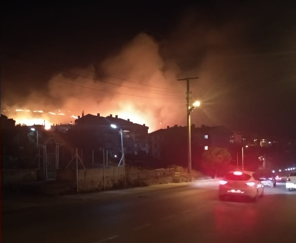 Yalova’da orman yangını