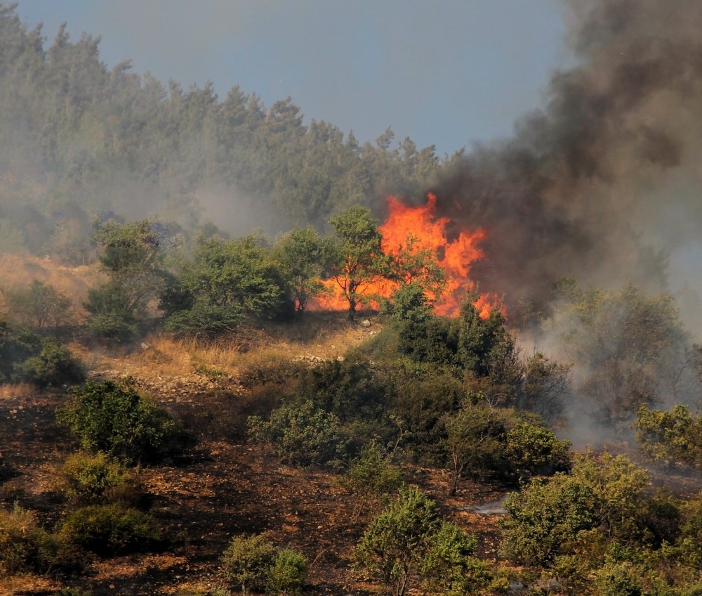 Kahramanmaraş’ta 1 hektar orman alanı yandı