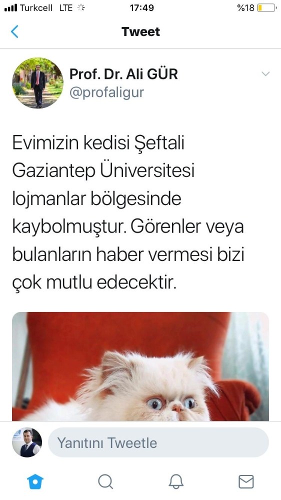 Gaun Rektoru Gur Kedileri Seftali Yi Ariyor Gaziantep Haberleri