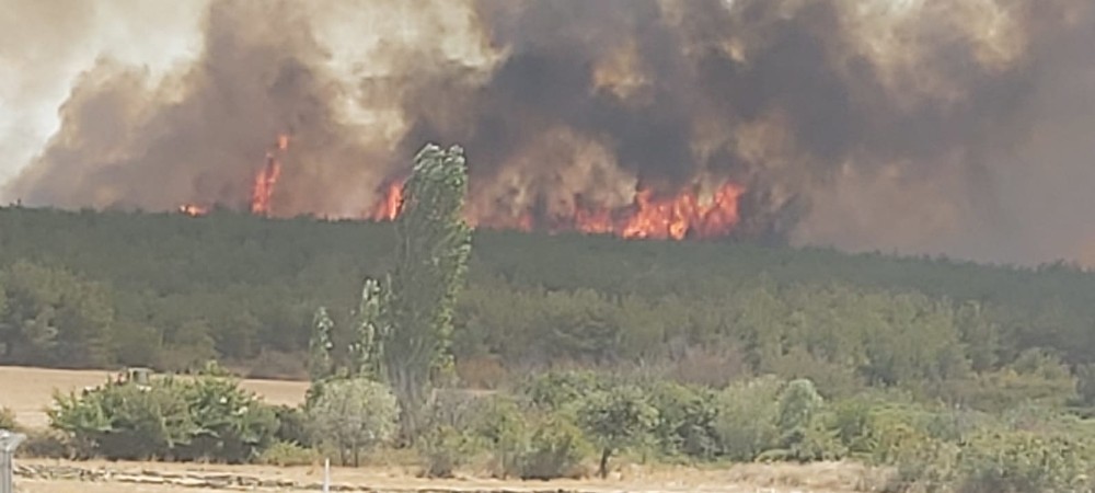 Tekirdag Da Orman Yangini Ruzgarin Etkisiyle Yangin Canakkale Ye Sicradi Tekirdag Haberleri