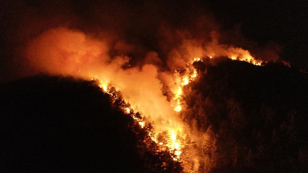 Pozantı’daki orman yangınına müdahale devam ediyor