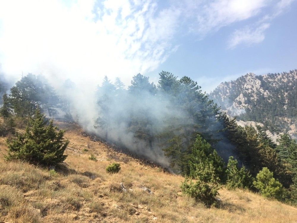 Pozantı’daki orman yangınını söndürme çalışmaları devam ediyor