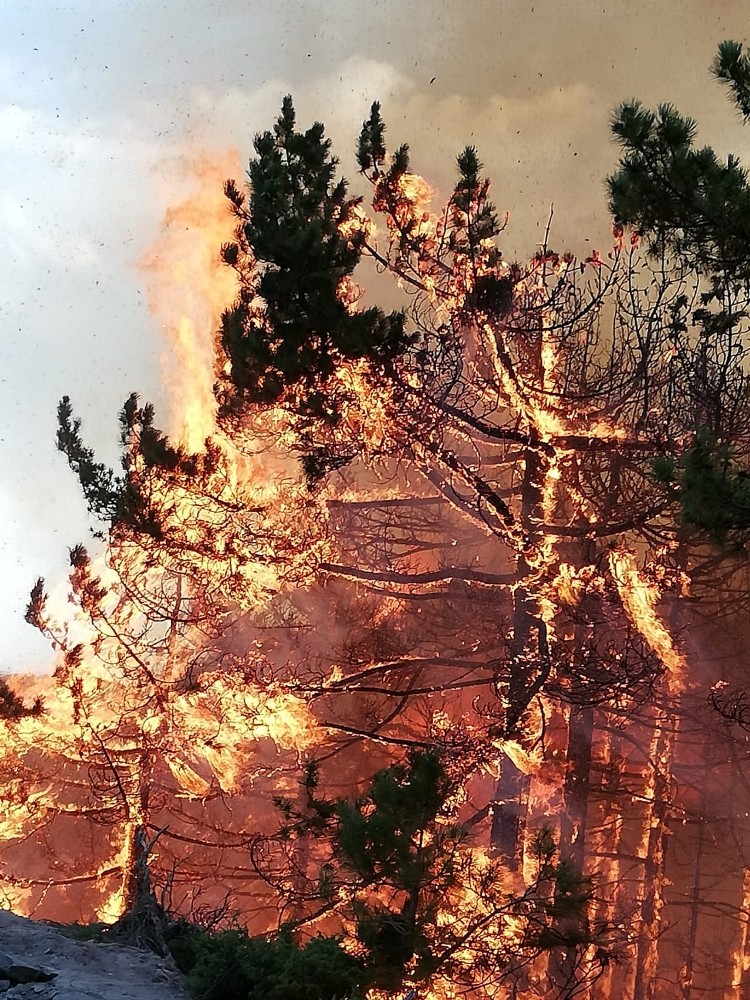 Amanoslardaki orman yangını kontrol alınmaya çalışılıyor