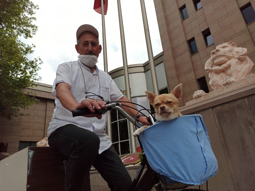 Bisikletle gezmeyi seven minik köpek Eskişehir Haberleri