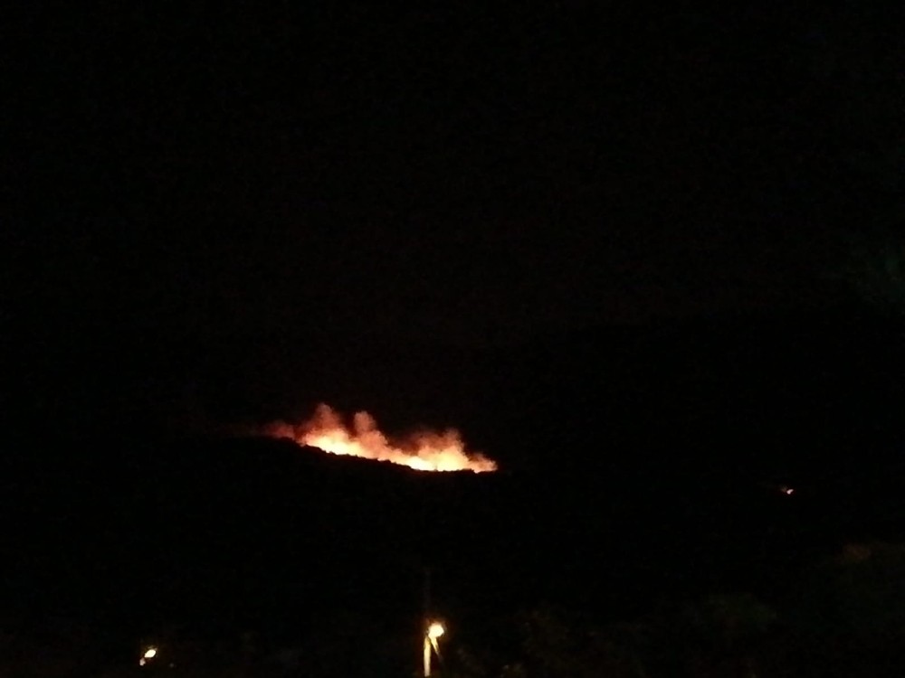 Soma’da ormanlık alanda yangın