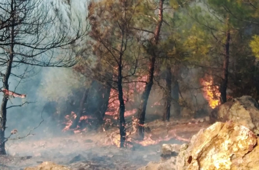 Milas Ören’de orman yangını başladı