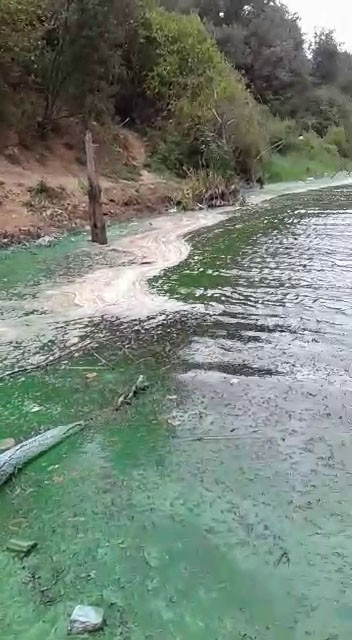 ÖZELSultangazi’de baraj suyu yeşile döndü