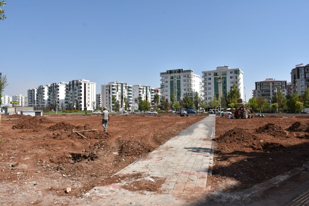 Diyarbakır’a özgü ağaçlar parkta yetiştirilecek