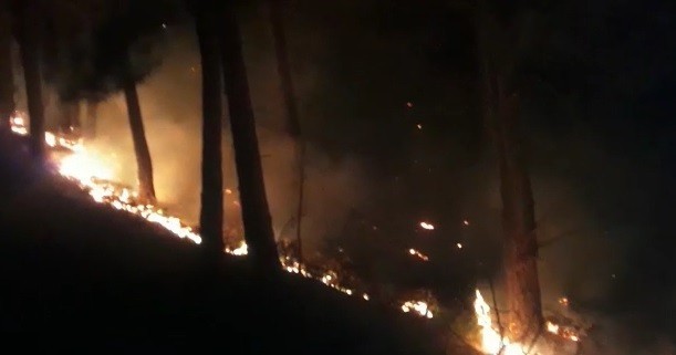 İzmir’deki orman yangını sürüyor