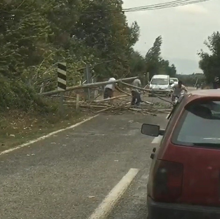 Bursa’da rüzgar ağaçları devirdi, yol trafiğe kapandı