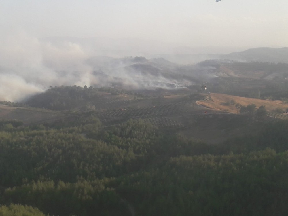 Manisa’daki orman yangınına karadan müdahale devam ediliyor