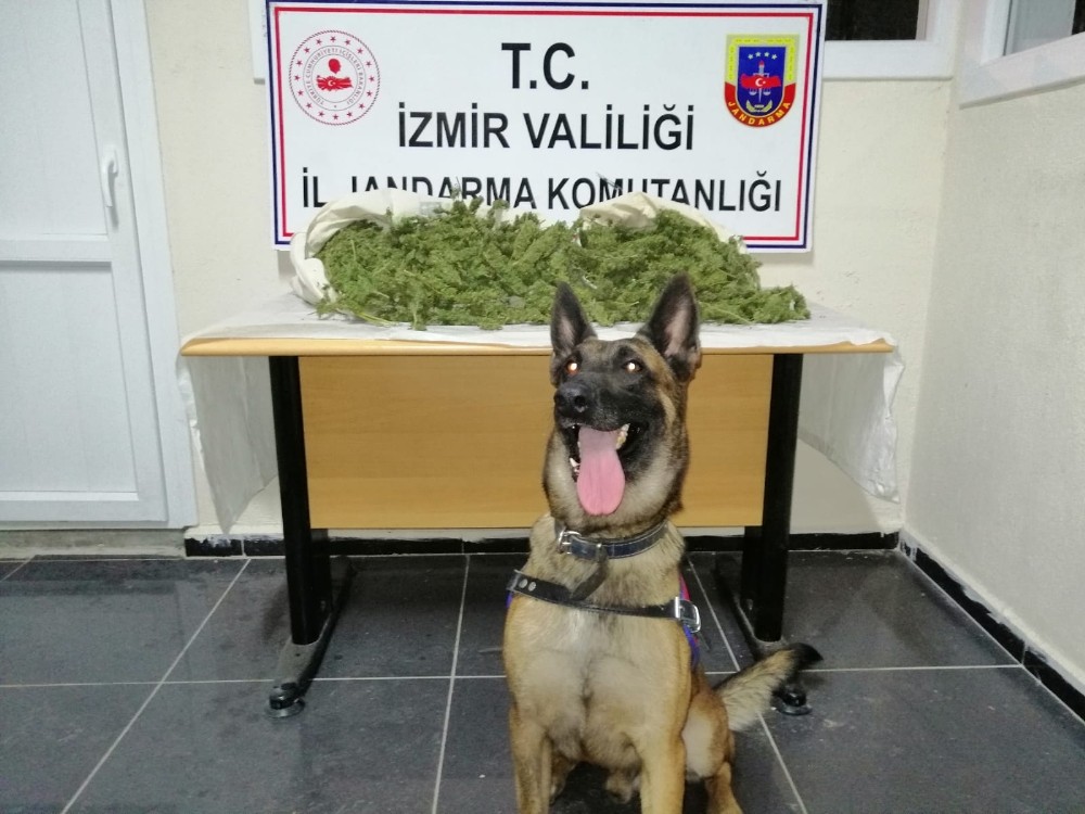 İzmir’de 8,5 kilogram uyuşturucu ele geçirildi