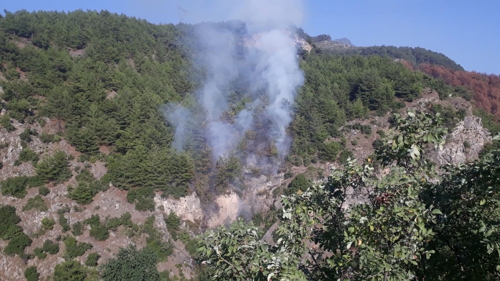 Payas’taki orman yangınında 1 hektar alan zarar gördü