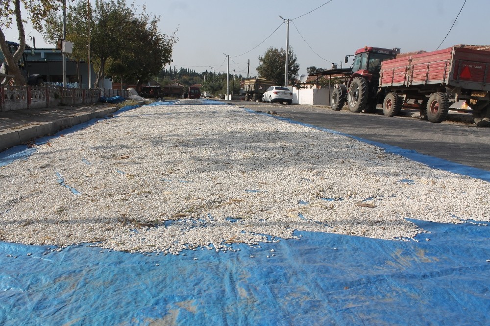 Çiftçiler ürünlerini asfalt yollarda kurutuyor