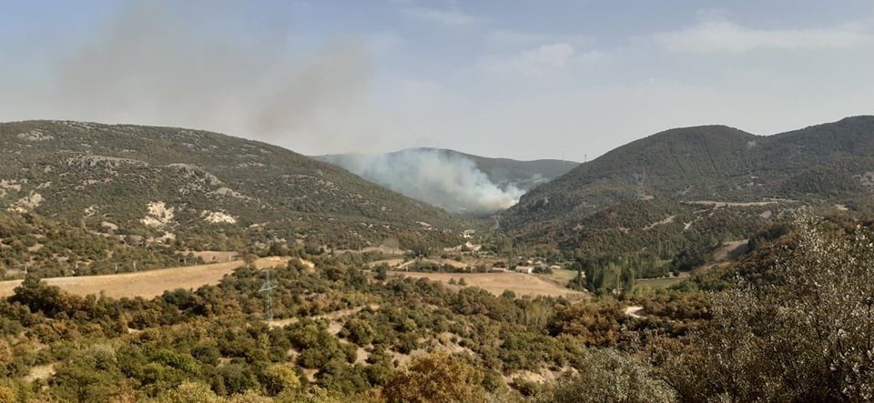 Manisa’da 8 hektar ormanlık alan yangında kül oldu