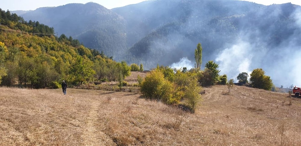 Kastamonu’daki orman yangınları söndürüldü