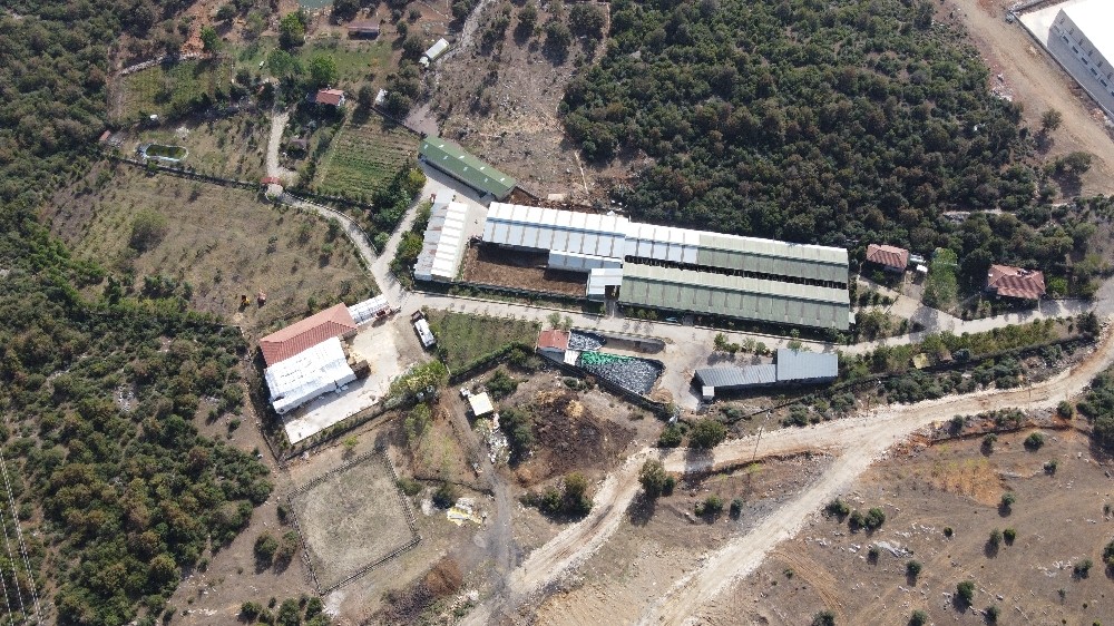 15 kaçak yapının tespit edildiği Türkkan’ın çiftliğinde aylardır yıkım yapılamıyor