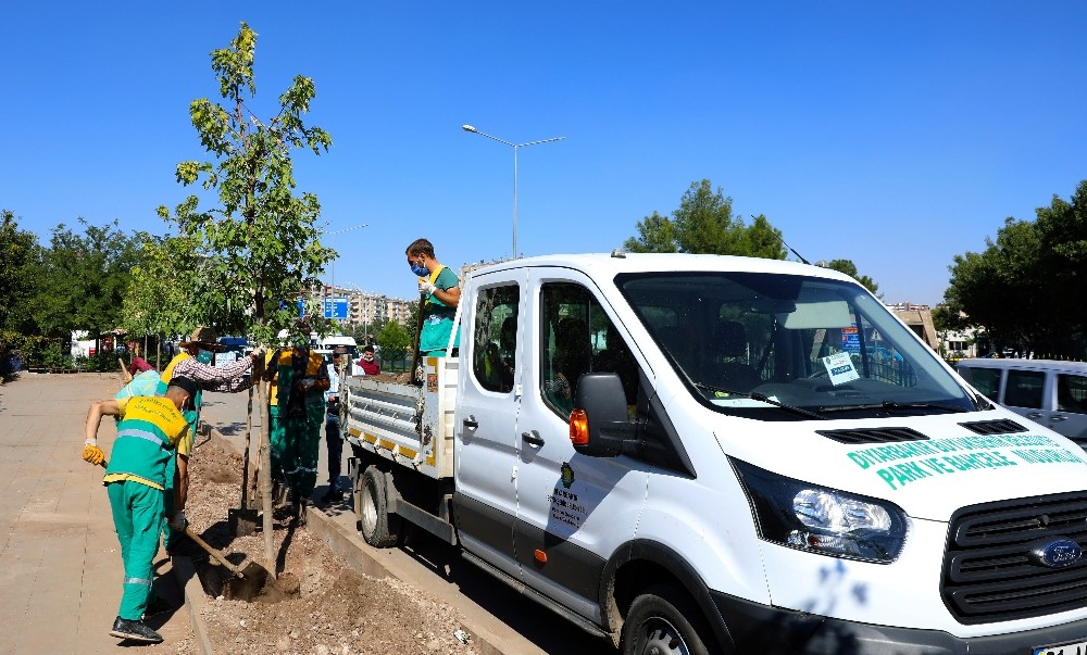 Diyarbakır’da cadde  yeşillendirme çalışmaları