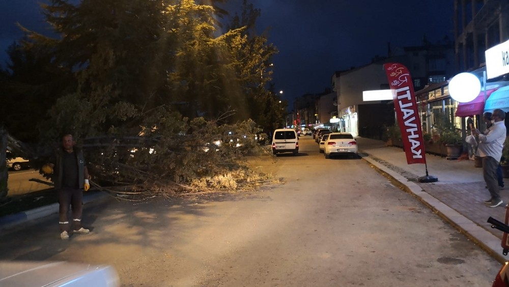 Konya’da fırtına ağaçların dallarını kırıp yola savurdu