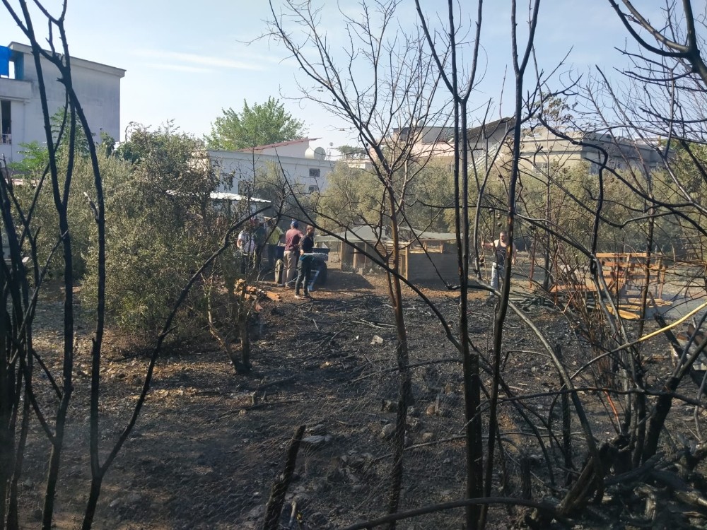Erzin’de çıkan yangın evlere sıçramadan söndürüldü
