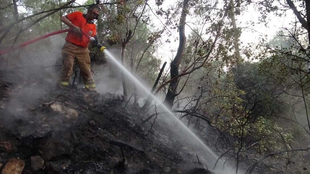 Mersin’de orman yangınında 2 hektar kızılçam zarar gördü