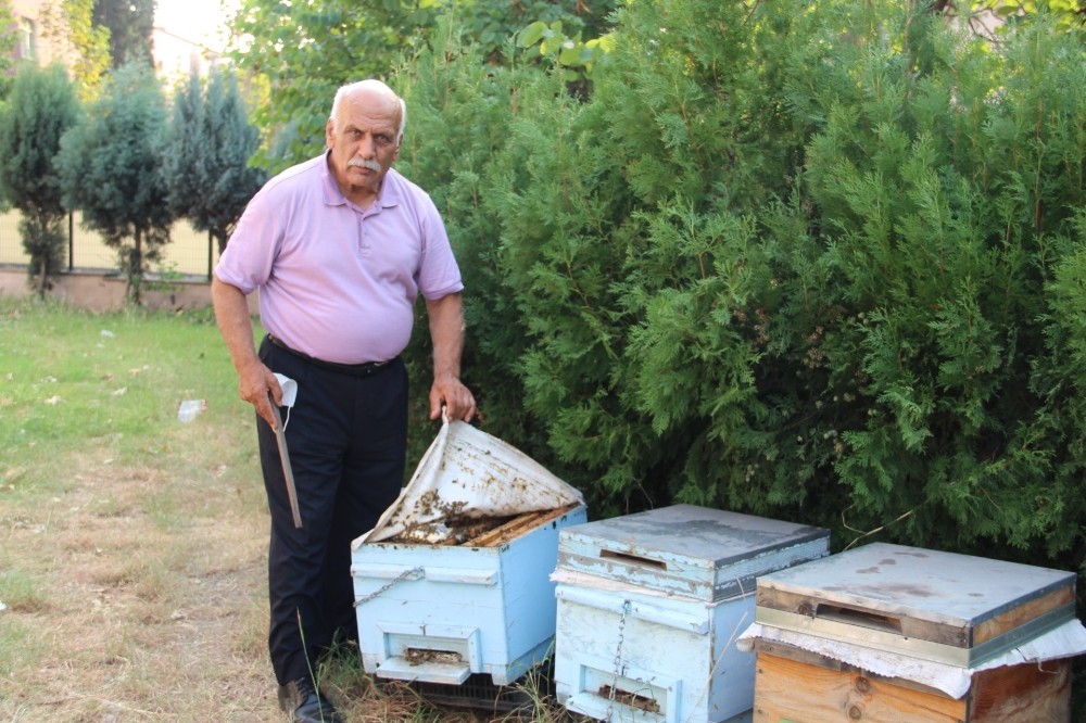 Hatay’daki yangında binden fazla arı kovanı yandı