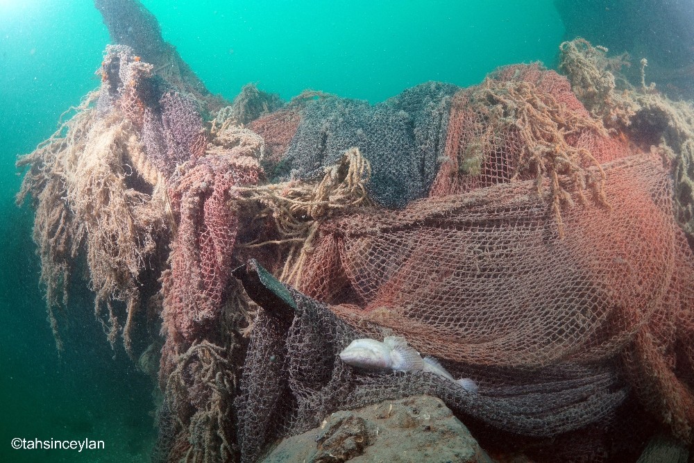 Almanya’nın tarihi deniz altısı U-20 balıkçı ağlarıyla kaplı olarak Sakarya’da fotoğraflandı