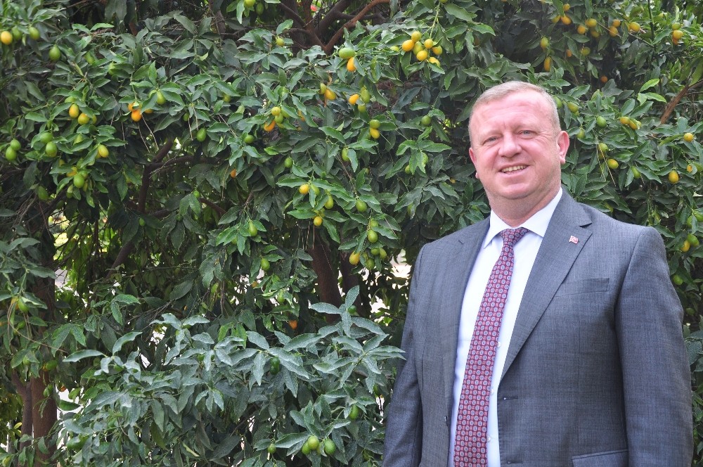 Antalya’da yerli ve milli kahve üretimi çalışmaları yeniden hız kazandı