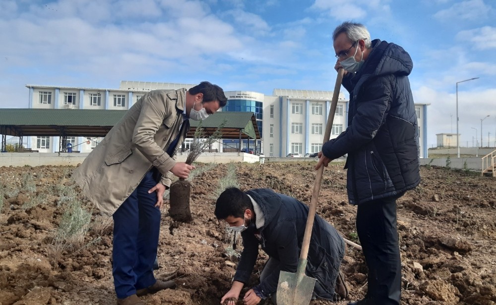 Havsa Meslek Yüksekokulu’nun havası, aromatik bitkilerle değişecek