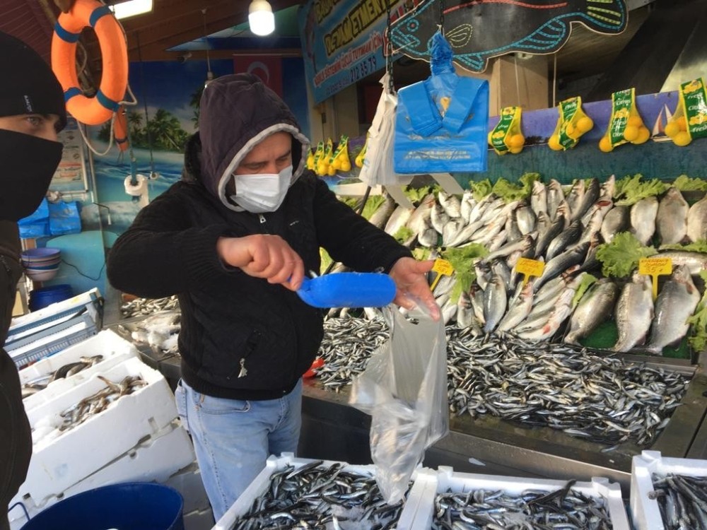 Tokat’ta hamsi fiyatları cep yakıyor