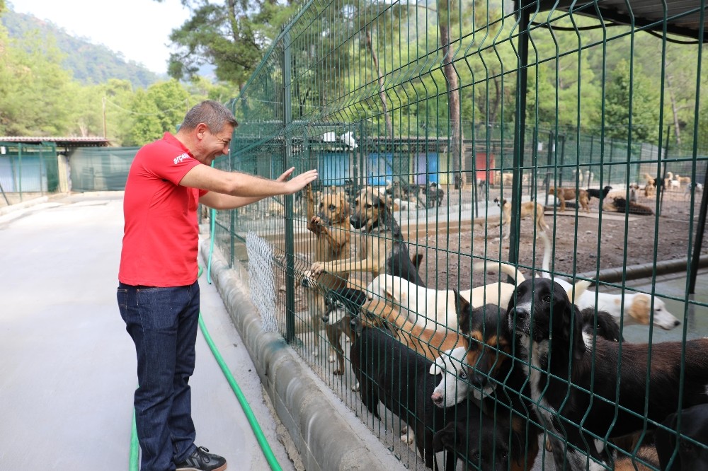 Marmaris’te can dostlar unutulmuyor