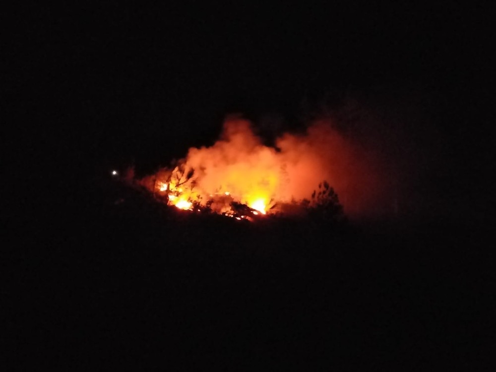Adana’daki orman yangını söndürüldü