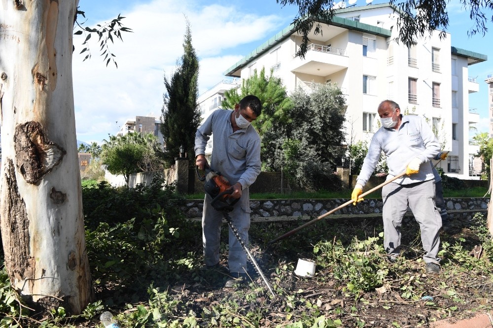 Konyaaltı Belediyesi’nden, park bahçe ve yeşil alanlara kışlık bakım