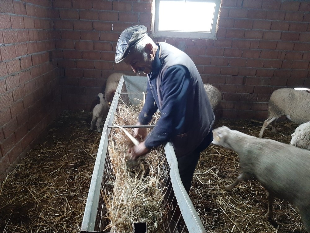 Hayvanları telef olmaktan kurtarılan çiftçi, Başkan Bozkurt’a teşekkür etti