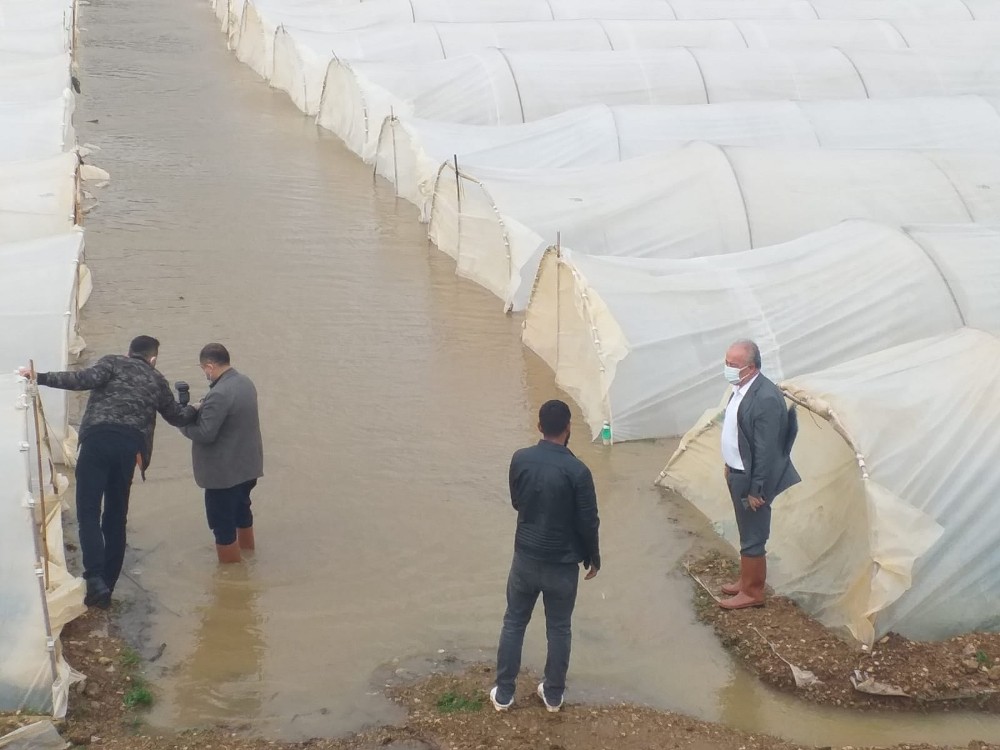 Antalya’da taşan dere ekili alanları su altında bıraktı