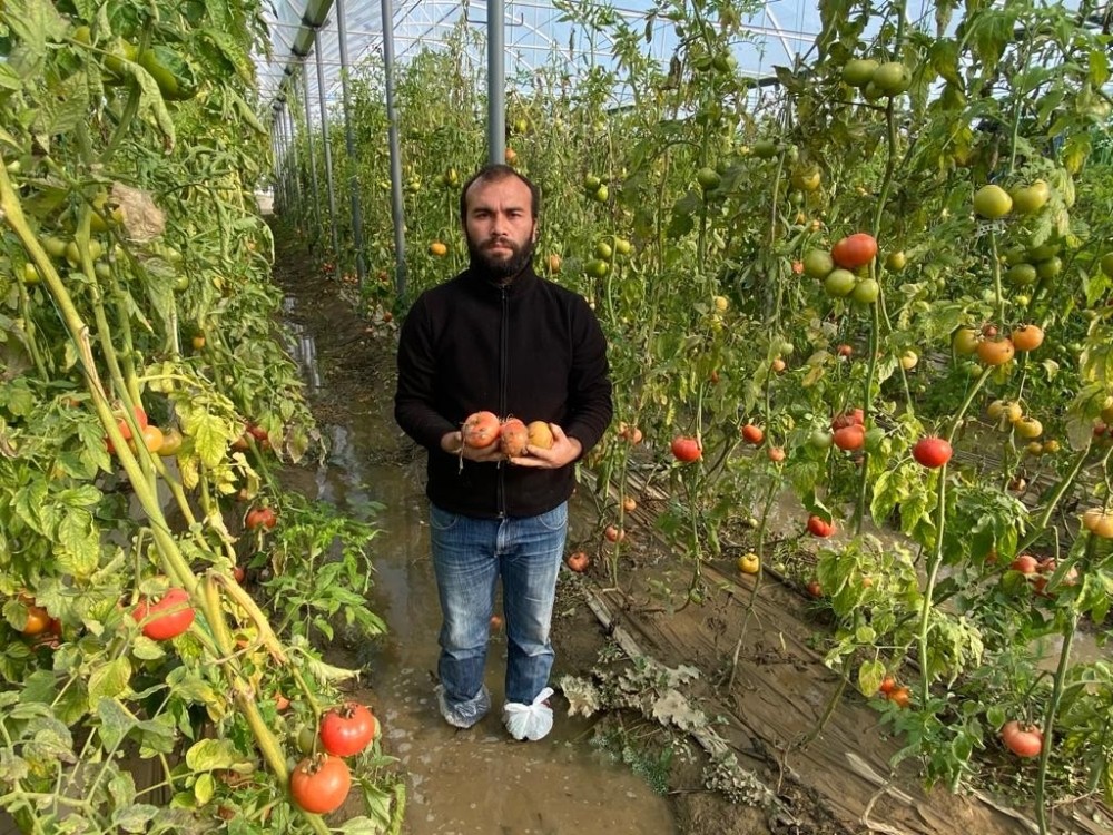 Çiftçi fırtına sonrası yaralarını sarıyor